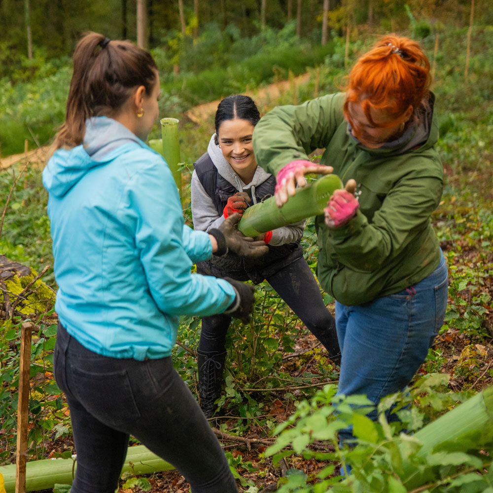 Drei Frauen welche am Baumpflanztag von xeit mitmachen und zusammen anpacken.